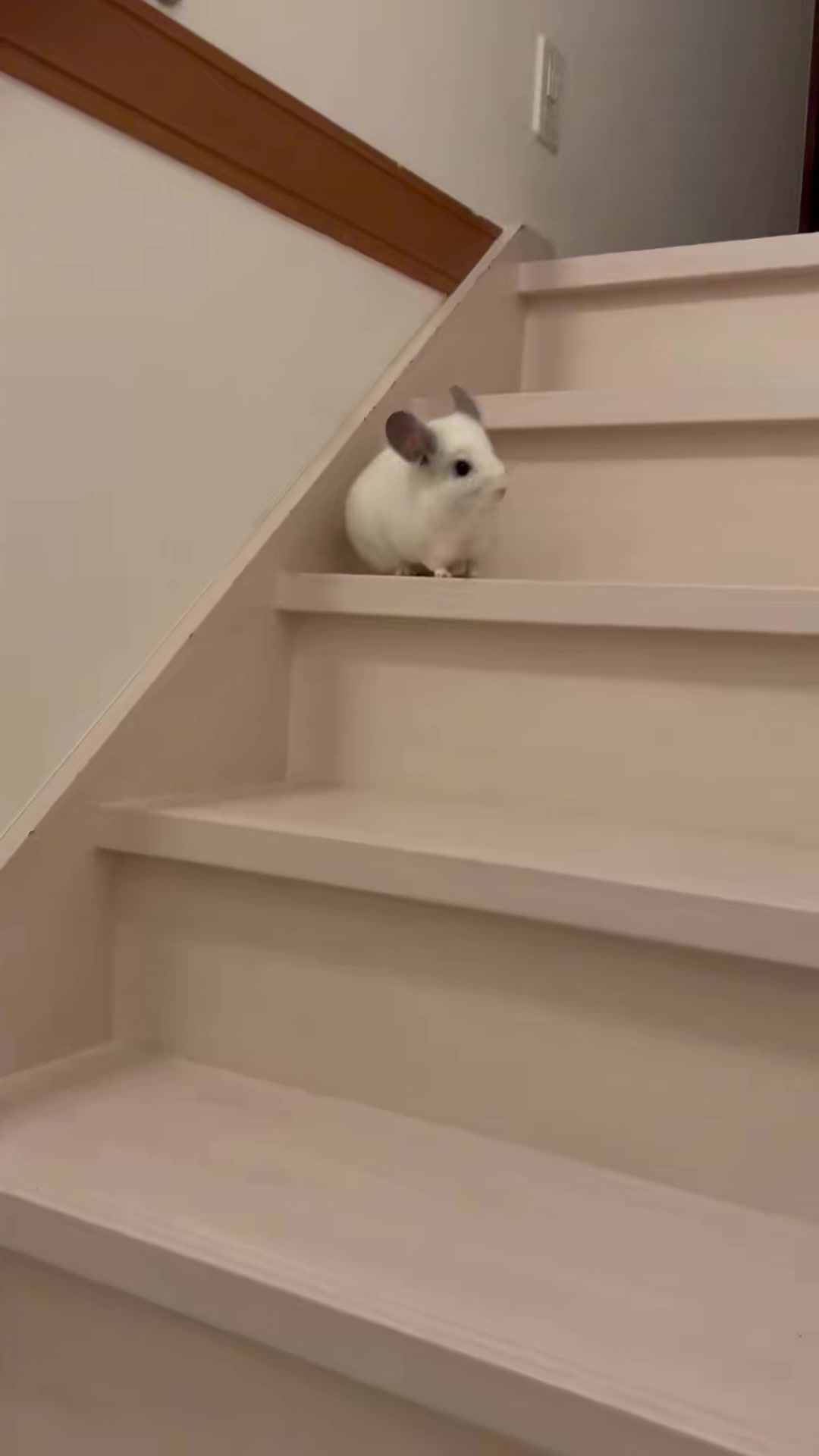 @おはぎとパパ