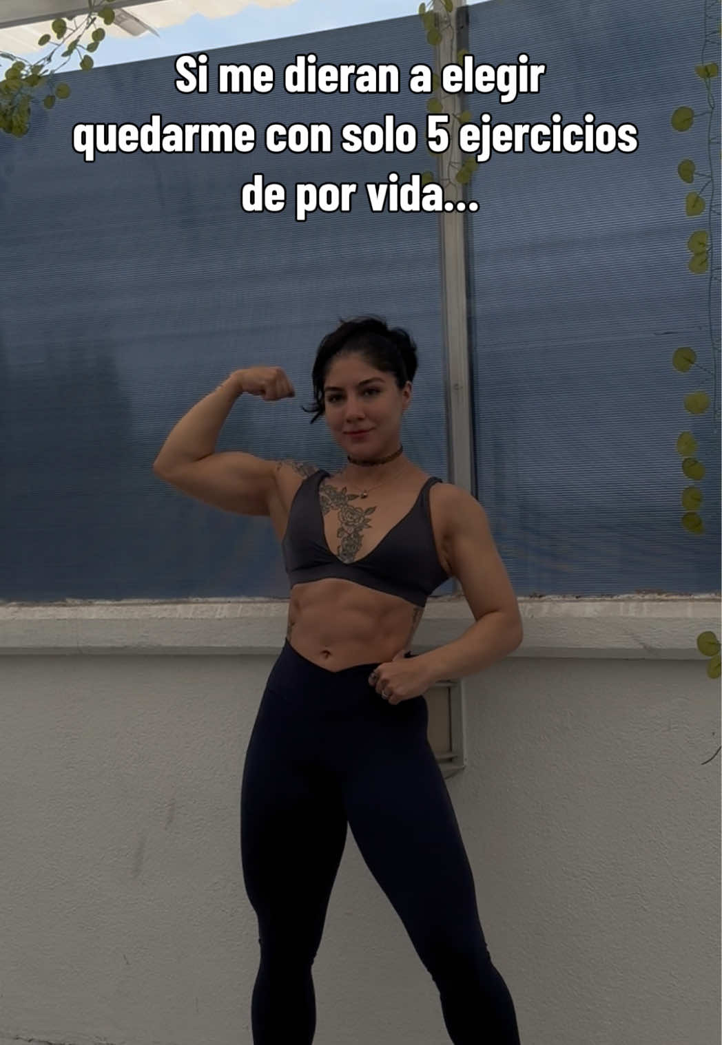 @ariacele