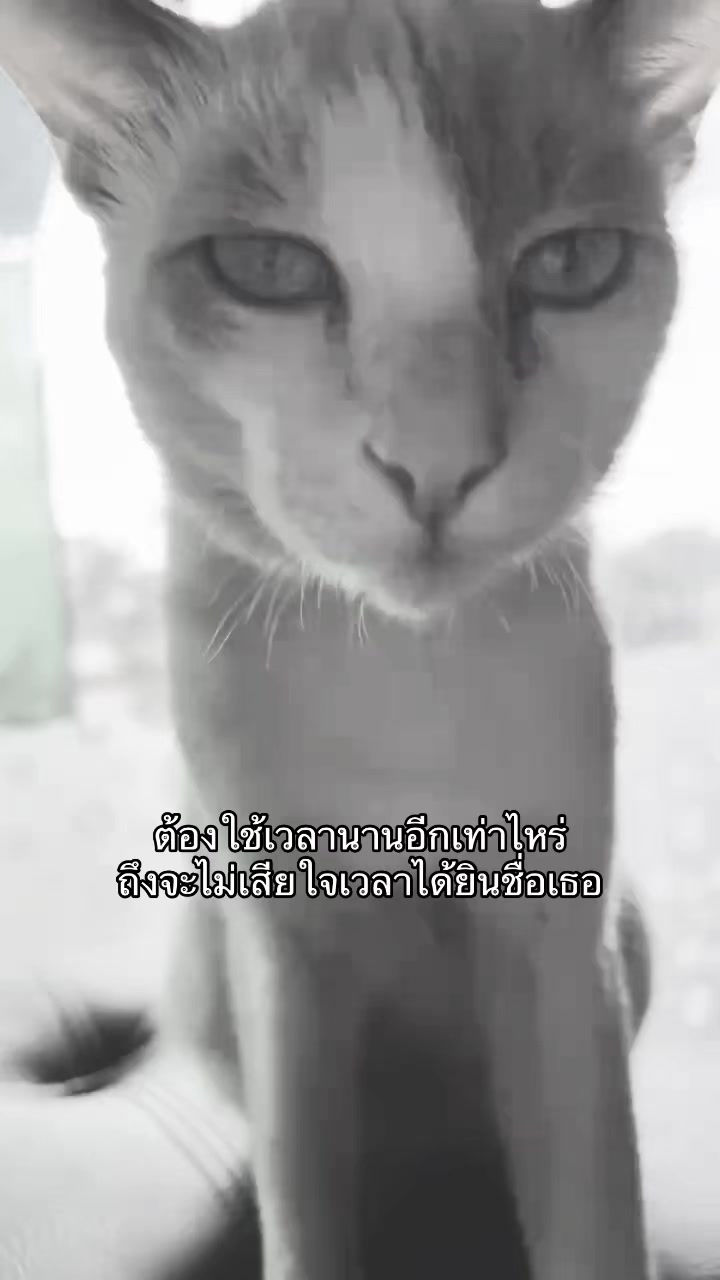 @u้อvอิง
