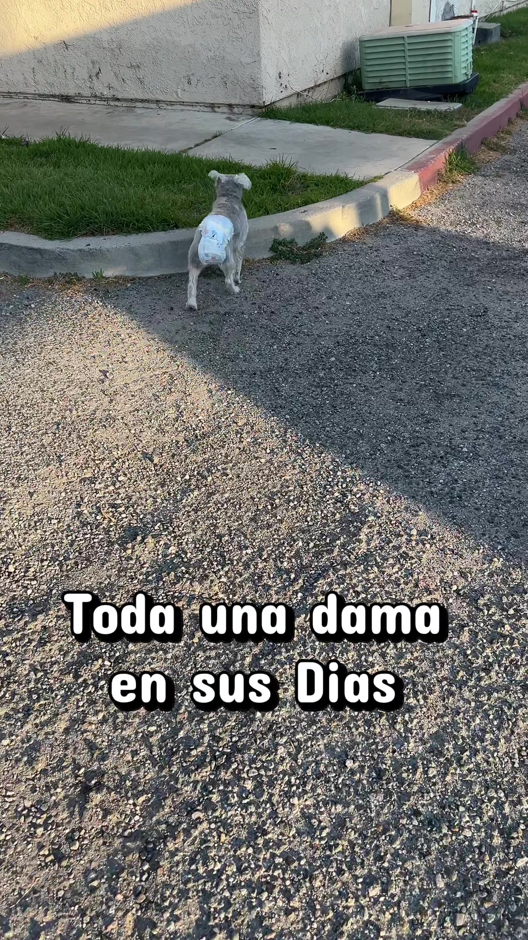 @La&rsquo; Beck