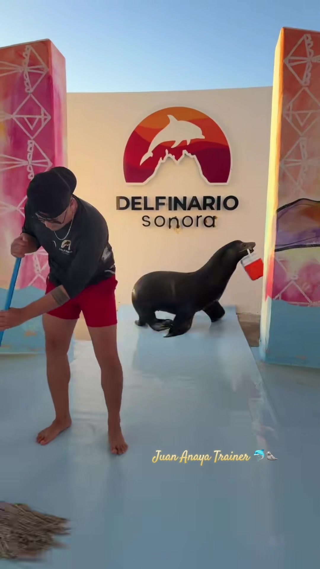 @Juan Anaya Trainer 🐬🦭