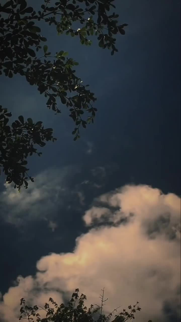 @𝗠𝘂𝘀𝗶𝗰 𝘁𝗶𝗸𝘁𝗼𝗸