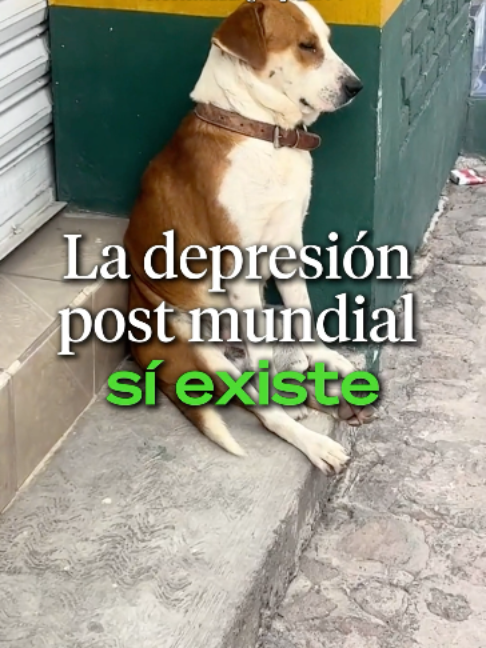 @Ahora Entiendo