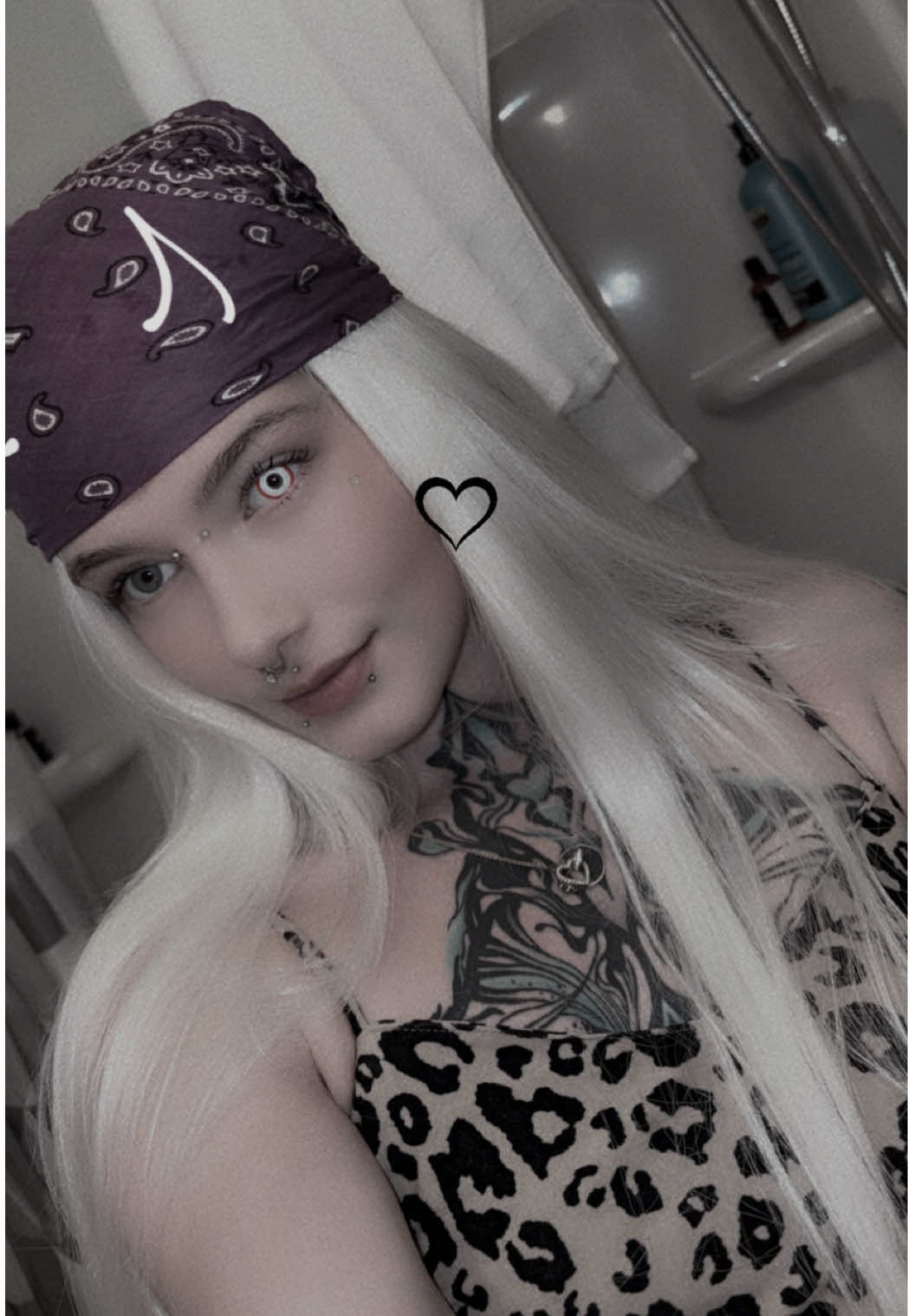 @6bunnys.ember6
