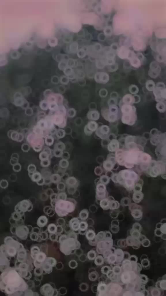 @@nomanali123