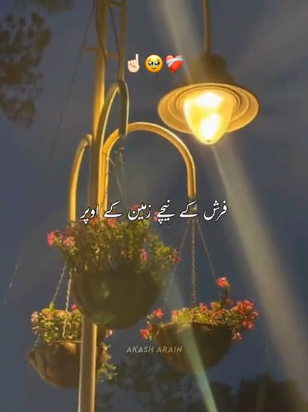 @𝘼𝙠𝙖𝙨𝙝 🏴