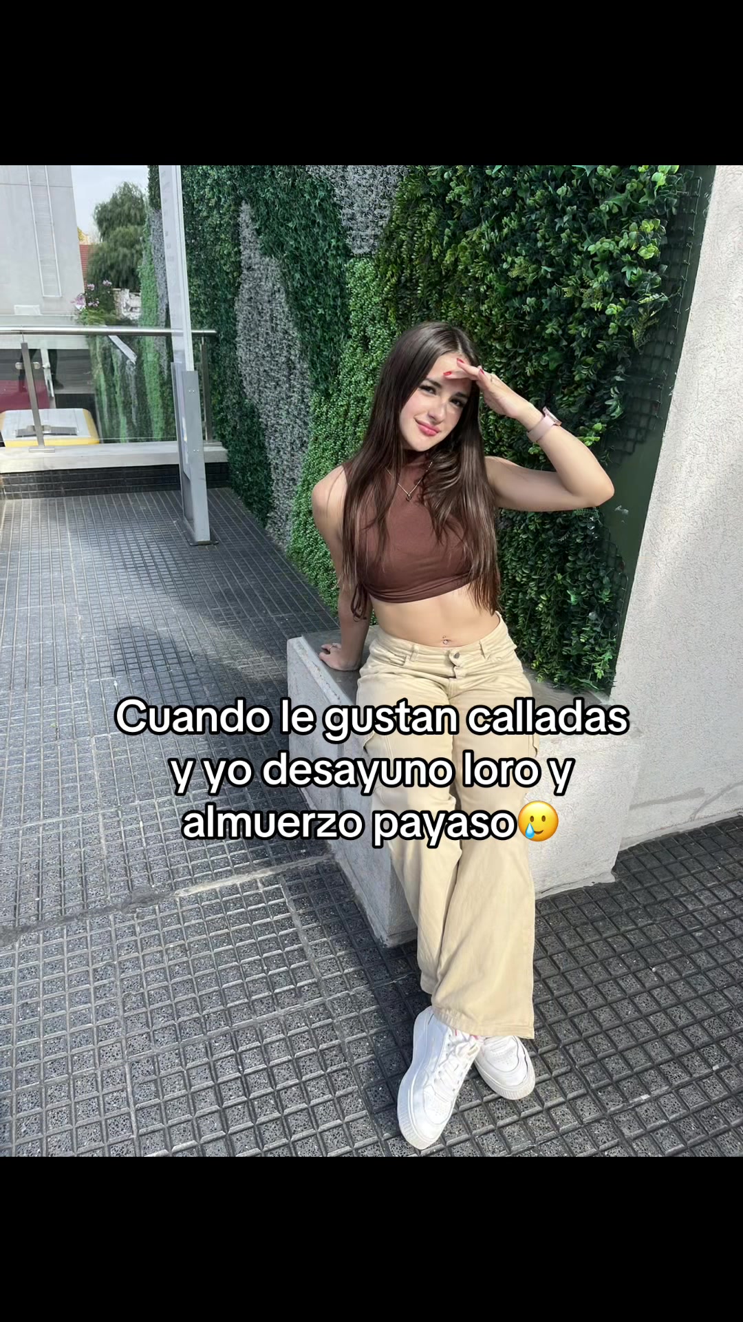 @solpeee