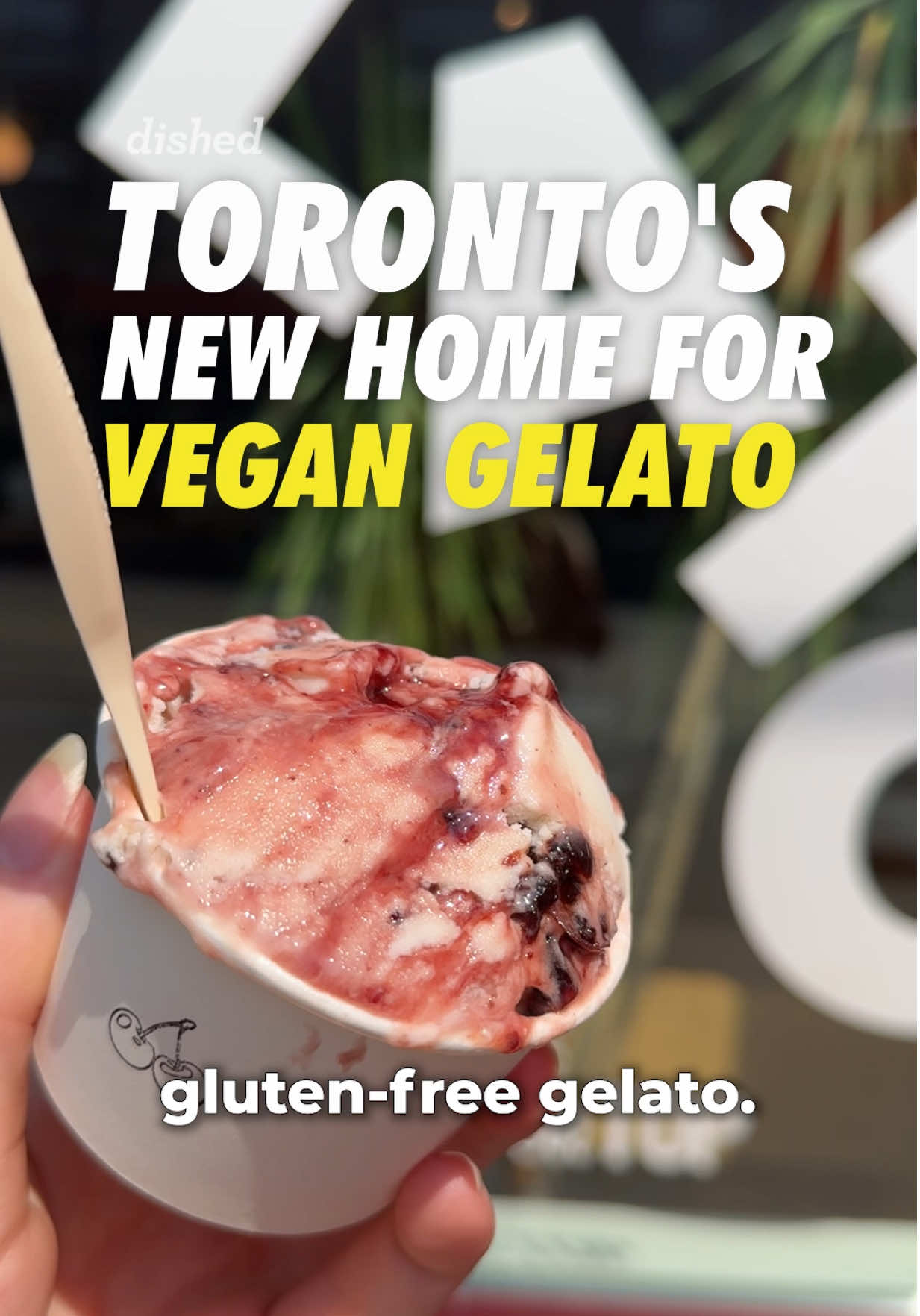 @Dished Toronto