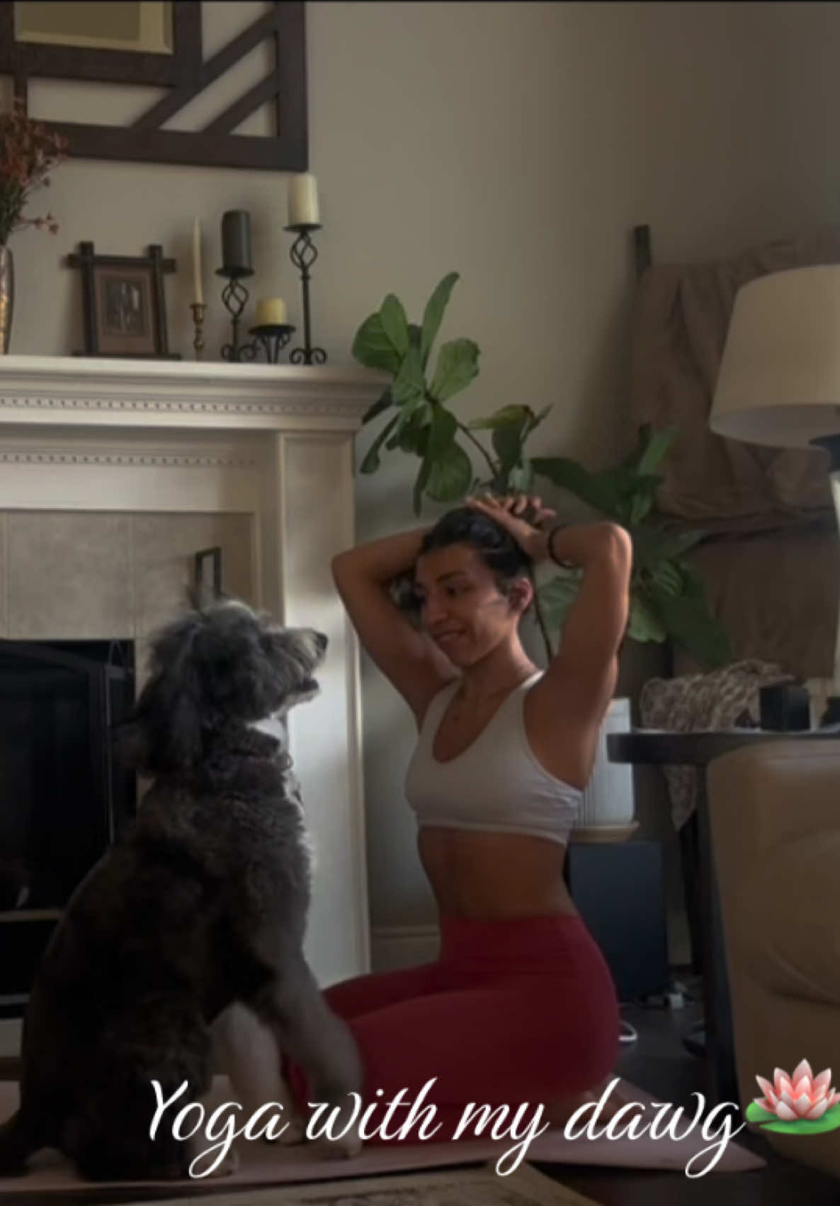 @espressobean