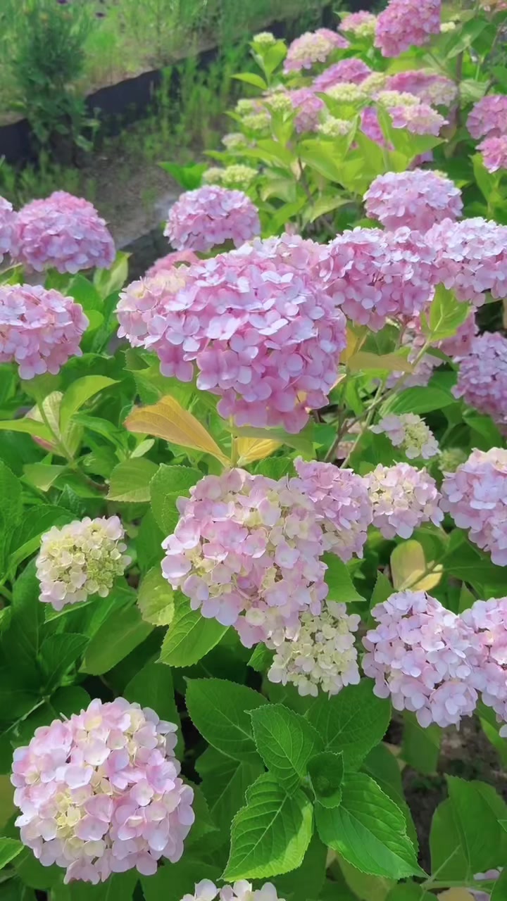 @đźđđđđ