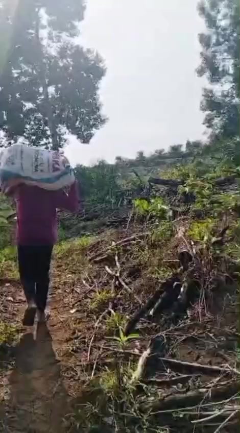 @kekasih bayangan