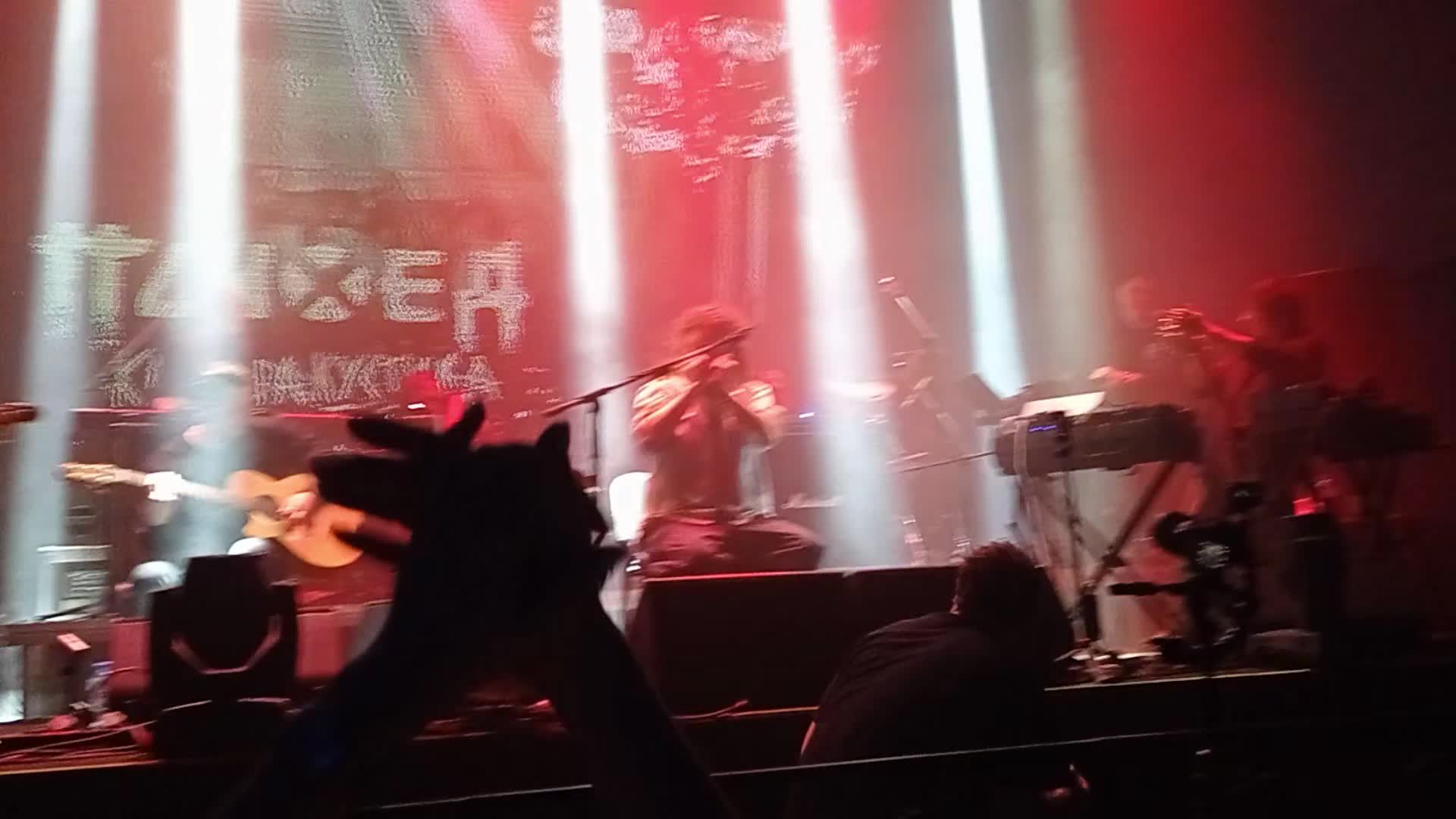 @wwwvwvvv@
