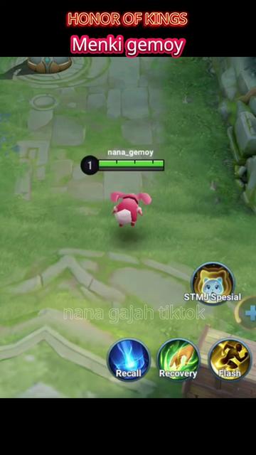 @NANA GAJAH TIKTOK
