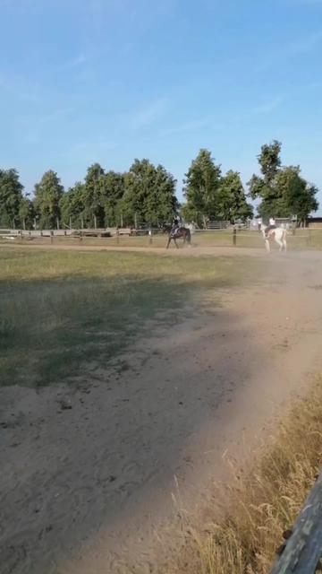 @КК "Фриз"🏇