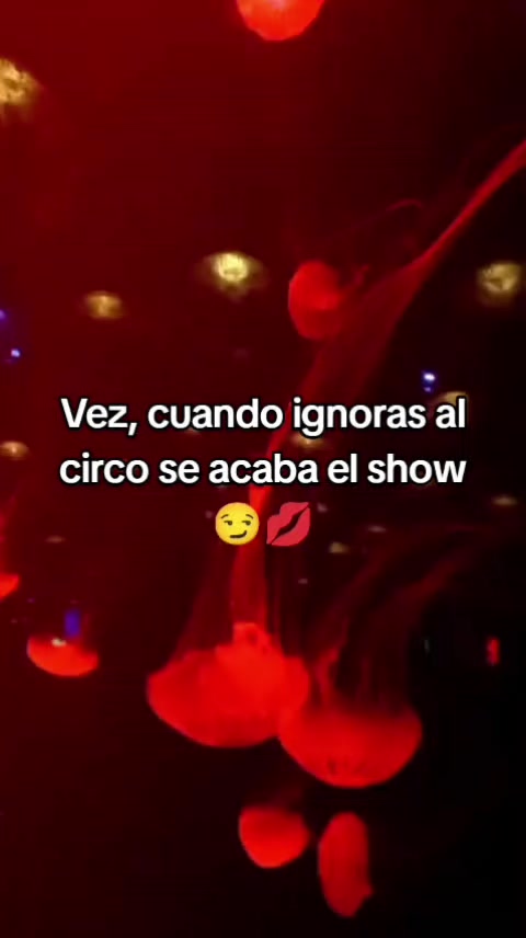 @Jocelyn Sauria Rex 🐦&zwj;🔥🦊🦖❤️