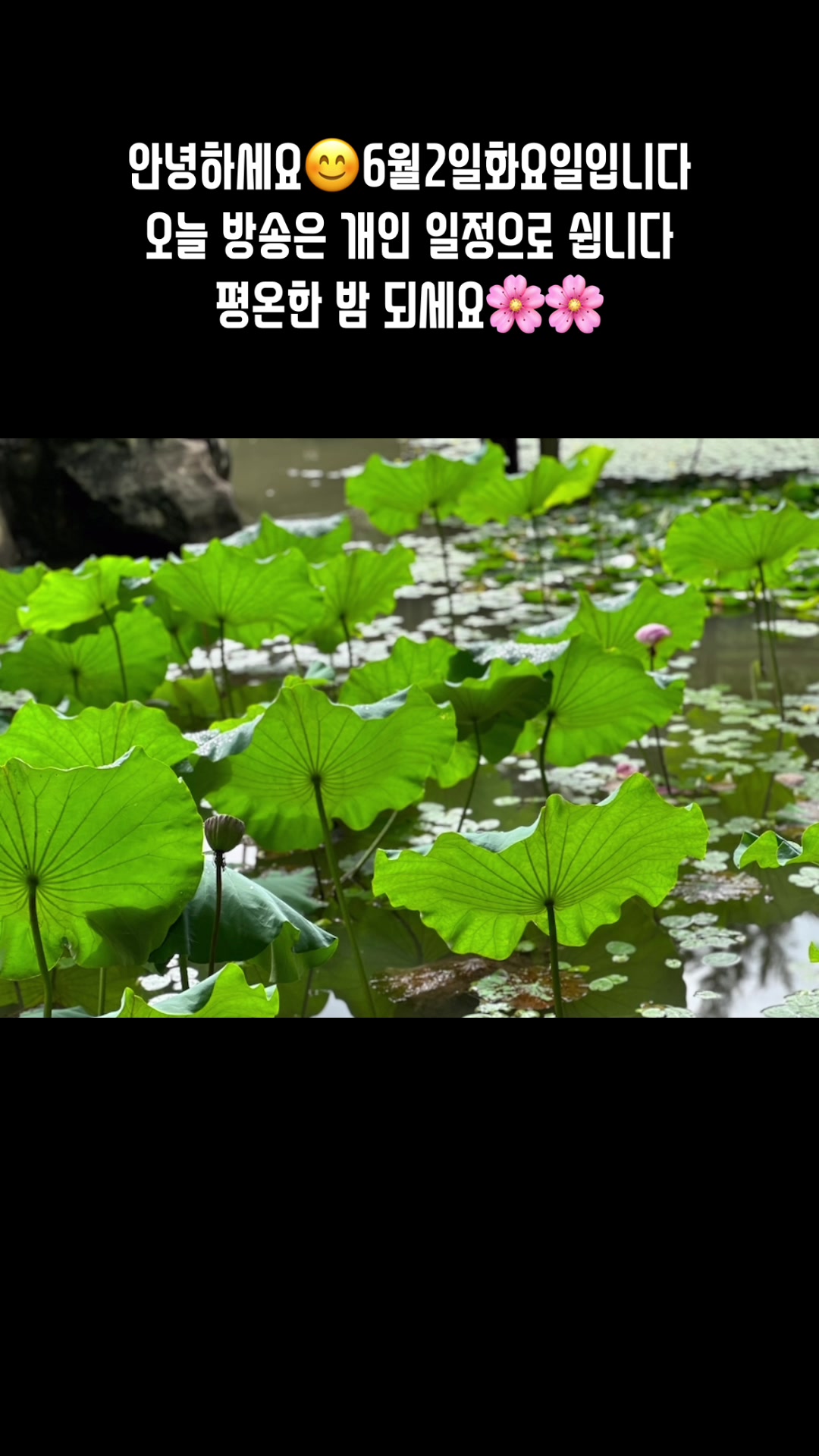 @🪴줄리애쉬
