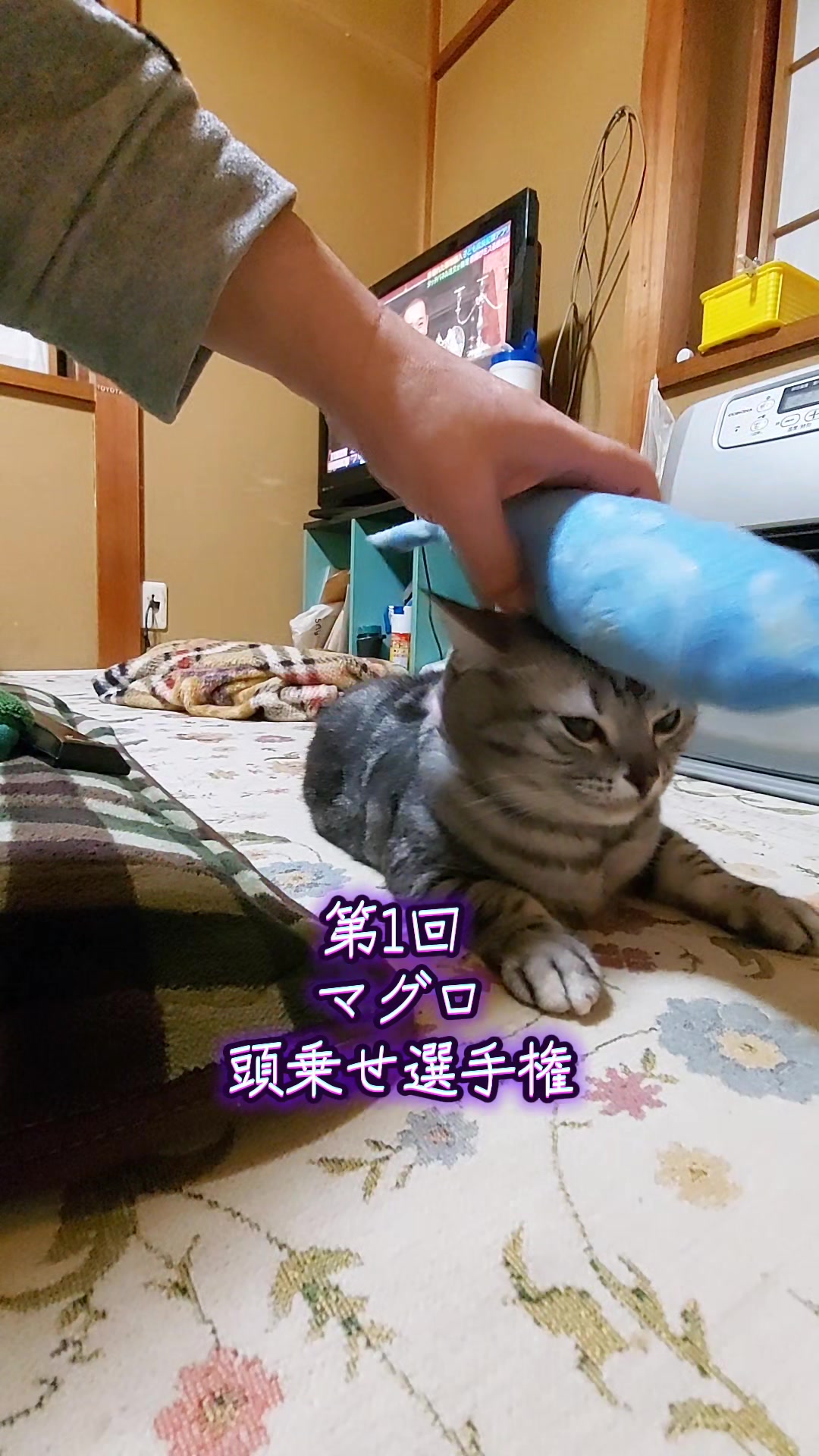 @juri-chan