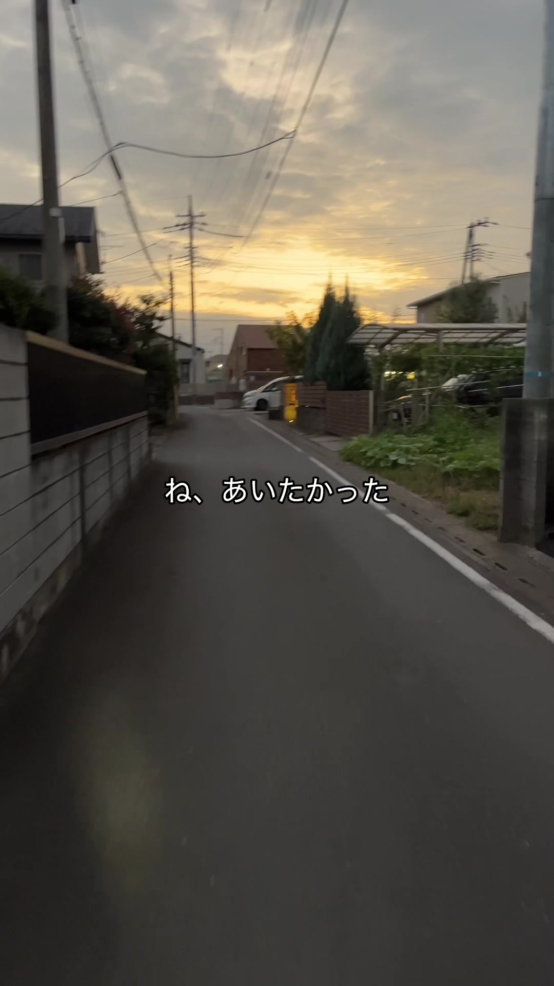 @ダラー