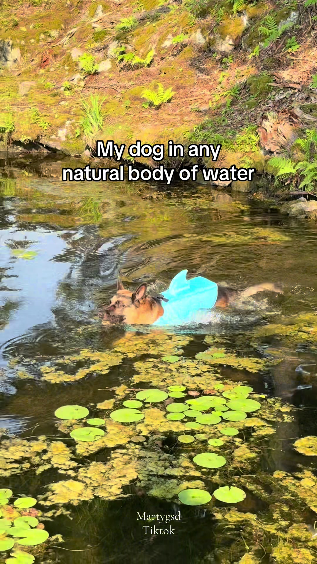 @Martygsd