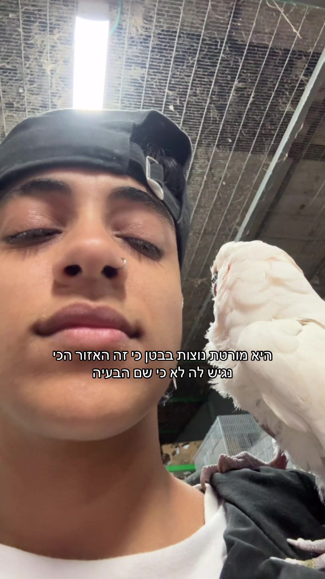 @or hasid
