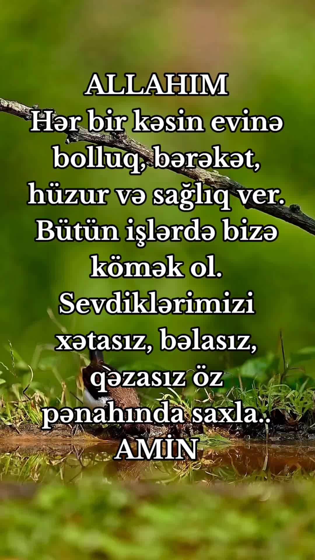 @DİNİM İSLAM