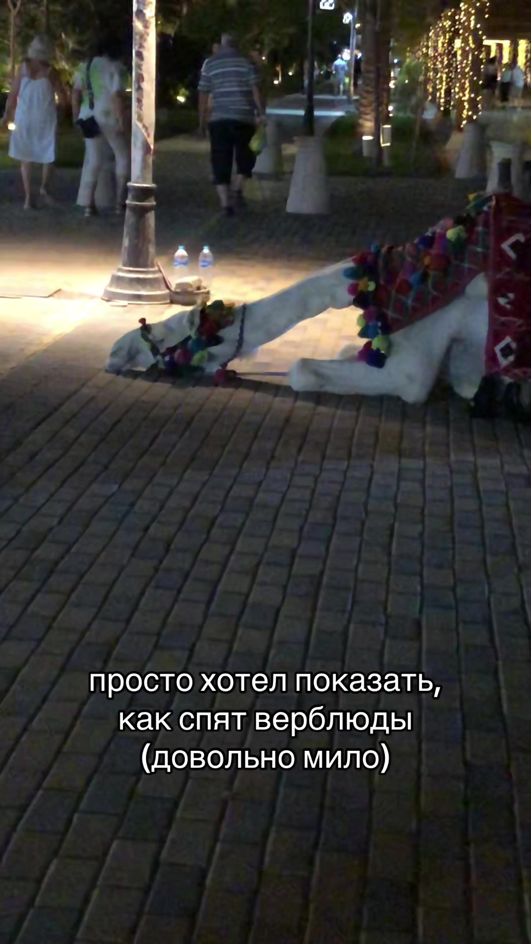 @Sasha Darko
