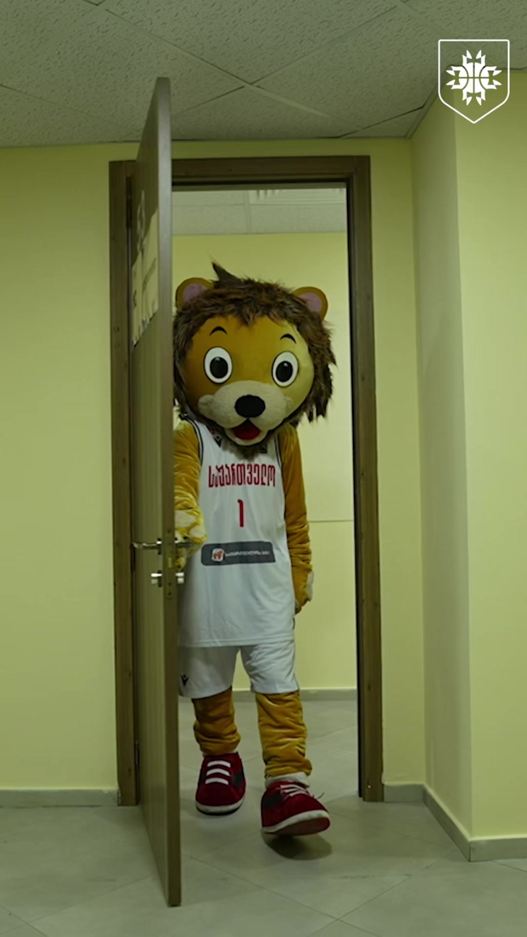 @Georgian Basketball