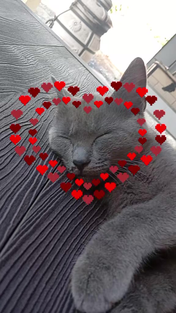 @𝓜𝓲𝓵𝓮𝓭𝓲 𝓓𝓪𝓶𝓪🪽