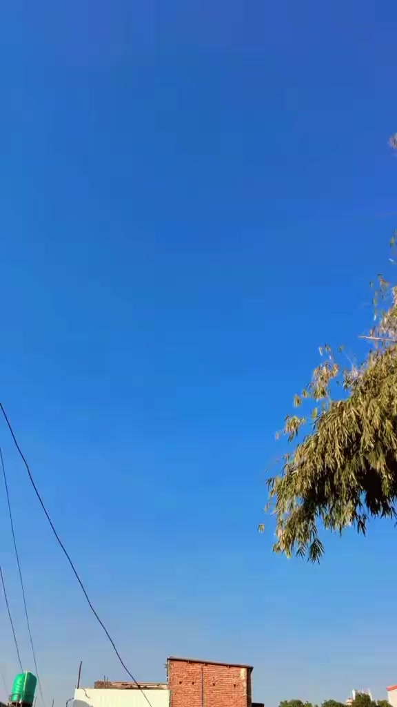 @Rita Karki181