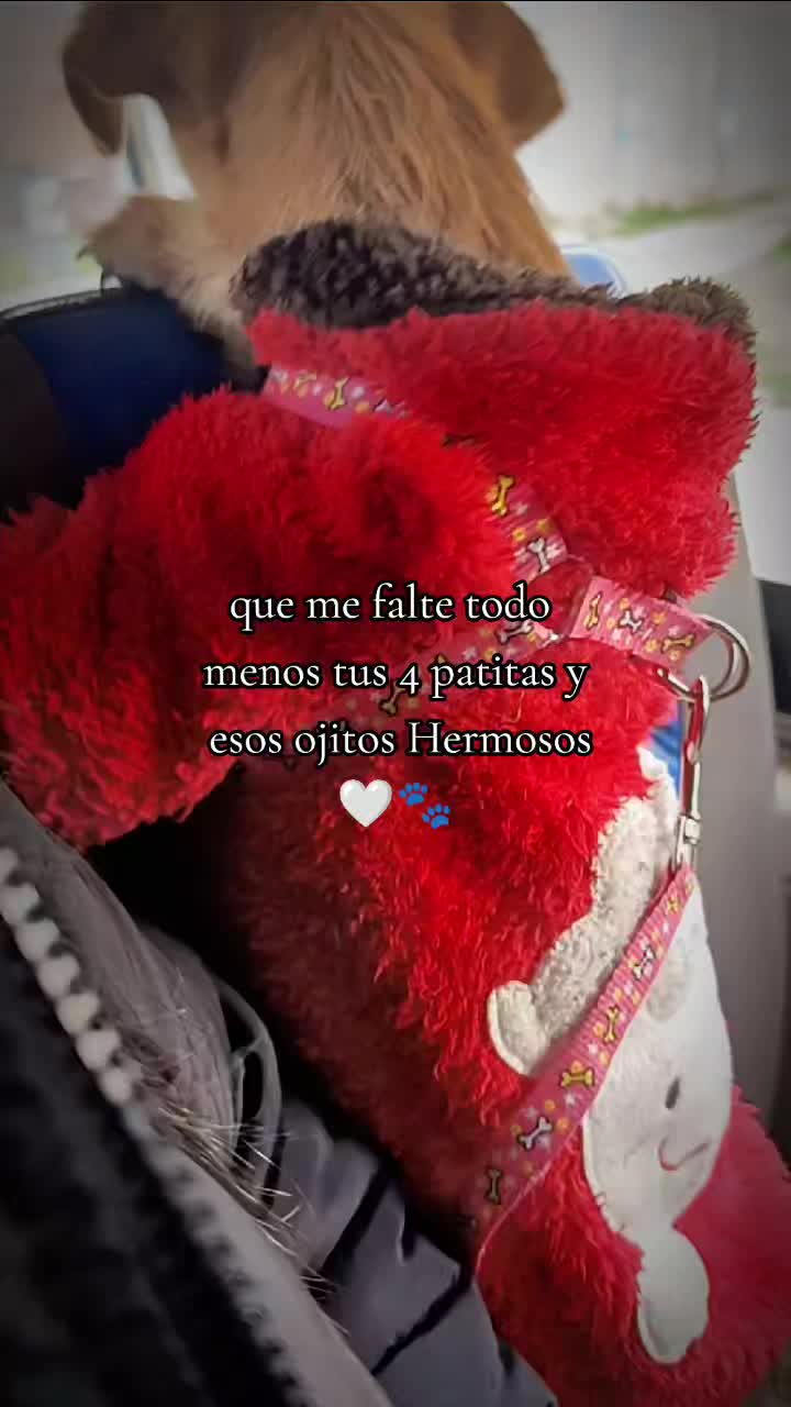 @LIZZ🥭