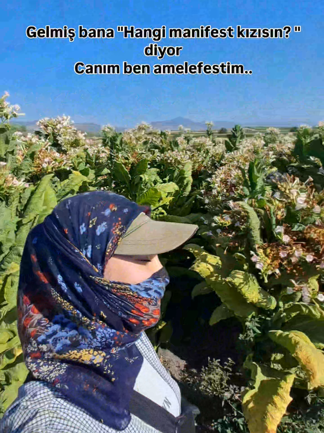 @Meryem Aktaş