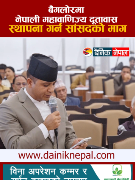 @दैनिक नेपाल