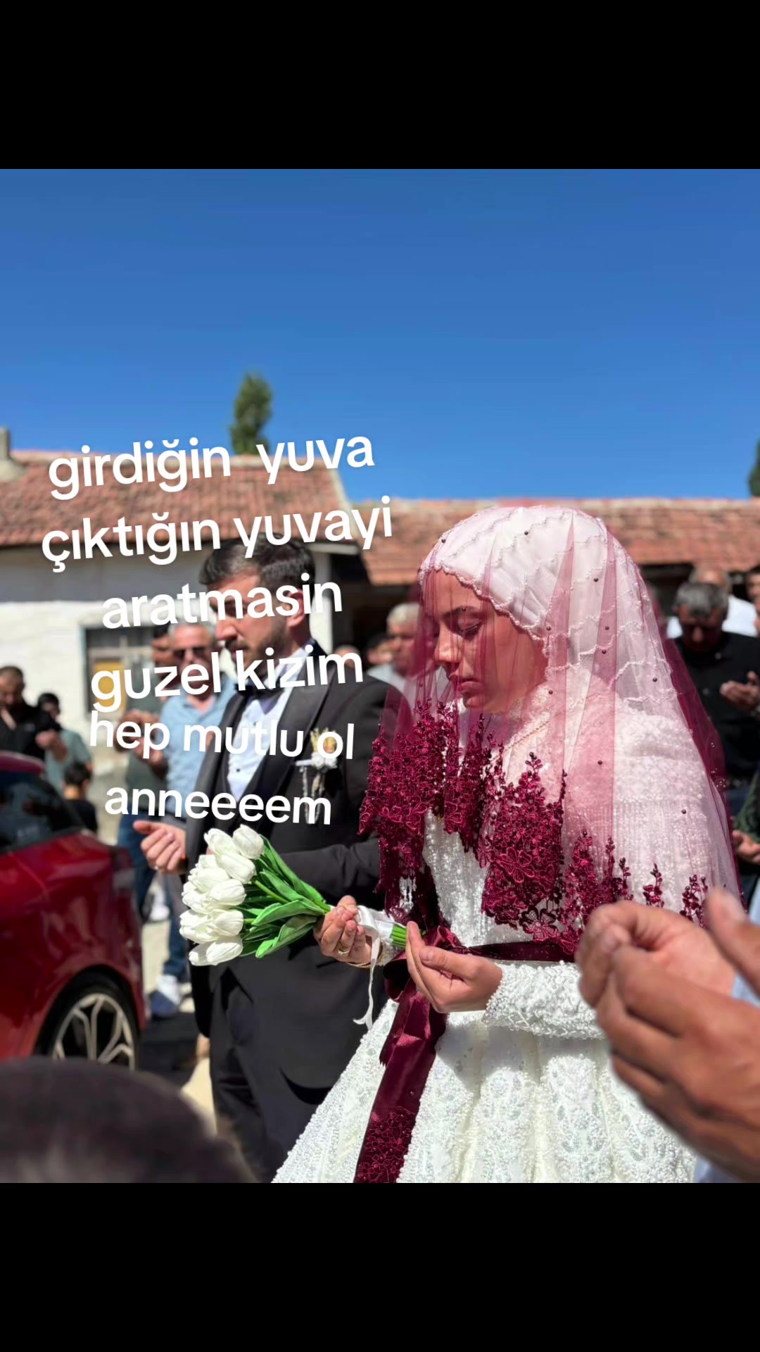 @Havvabilgin