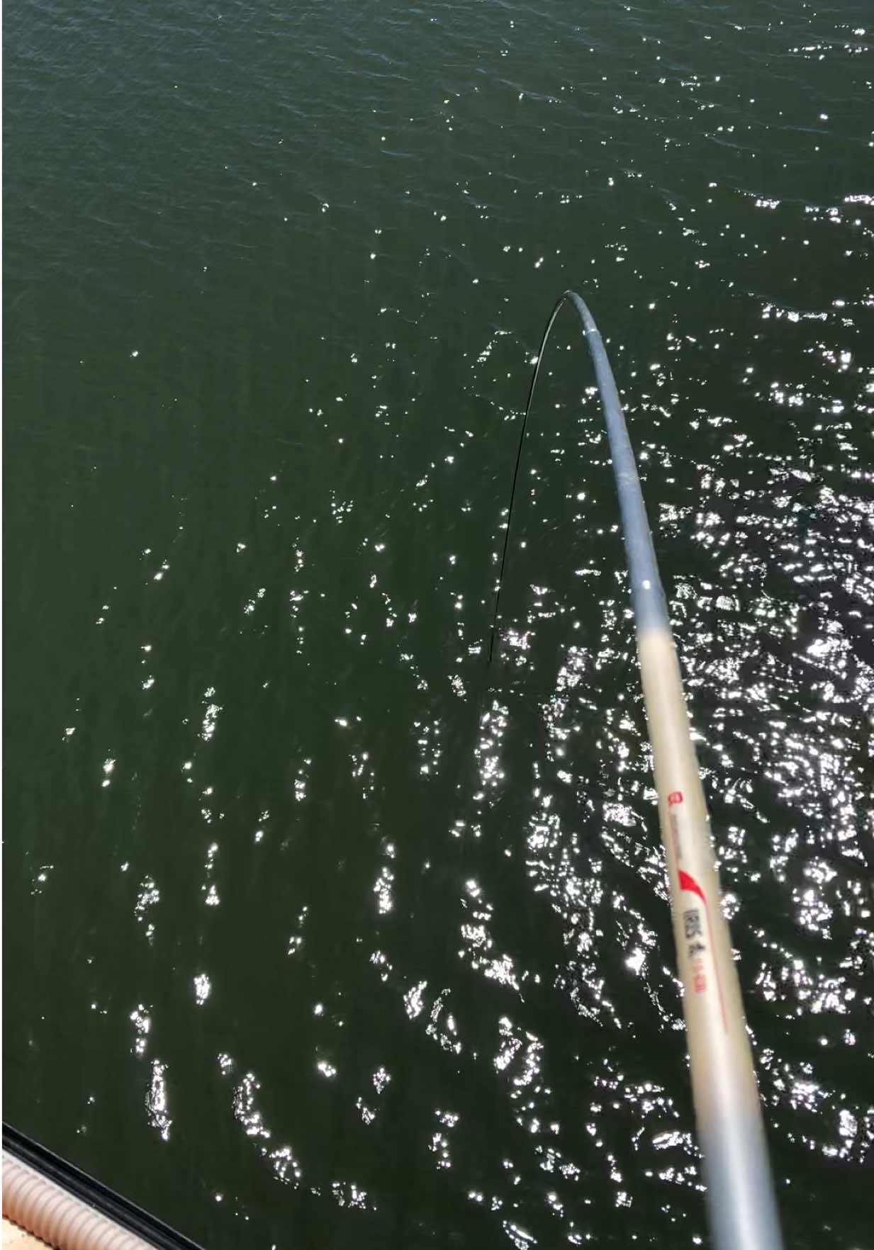 @Nha Trang fishing tour