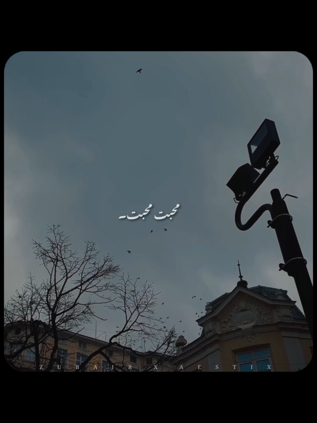 @𝙕𝙐𝘽𝘼𝙄𝙍 𝙓 𝘼𝙀𝙎𝙏𝙄𝙓🎧