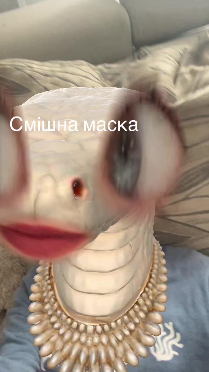 @uliana.shpulka_2026