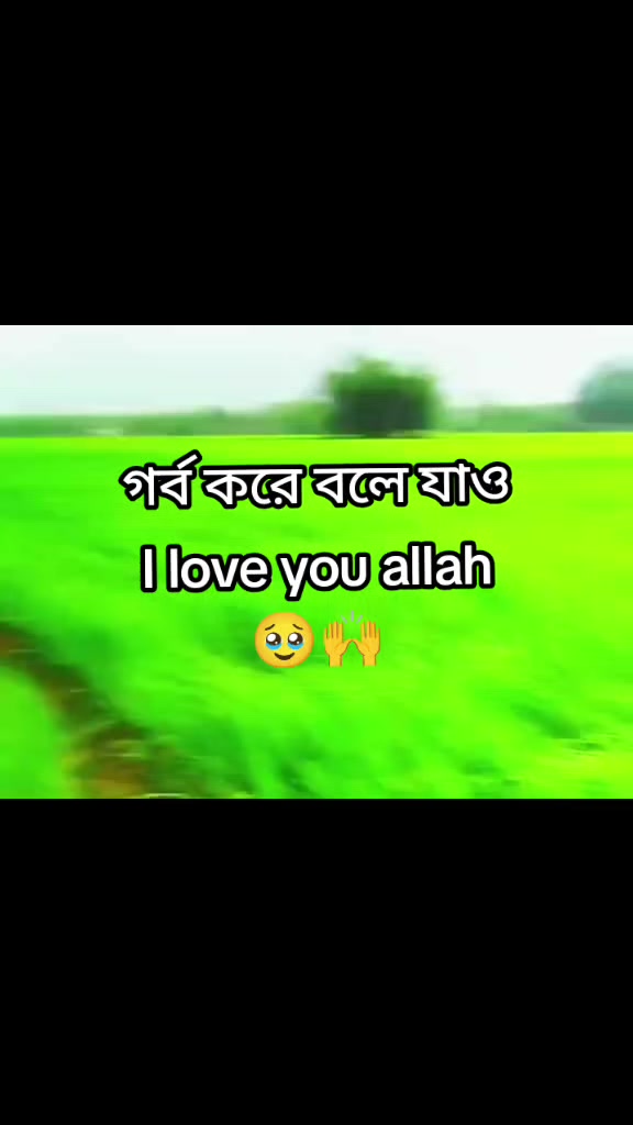 @🐸⎯͢⎯⃝🦎টিক _টিকি⎯͢⎯⃝🦎&mdash;🐸