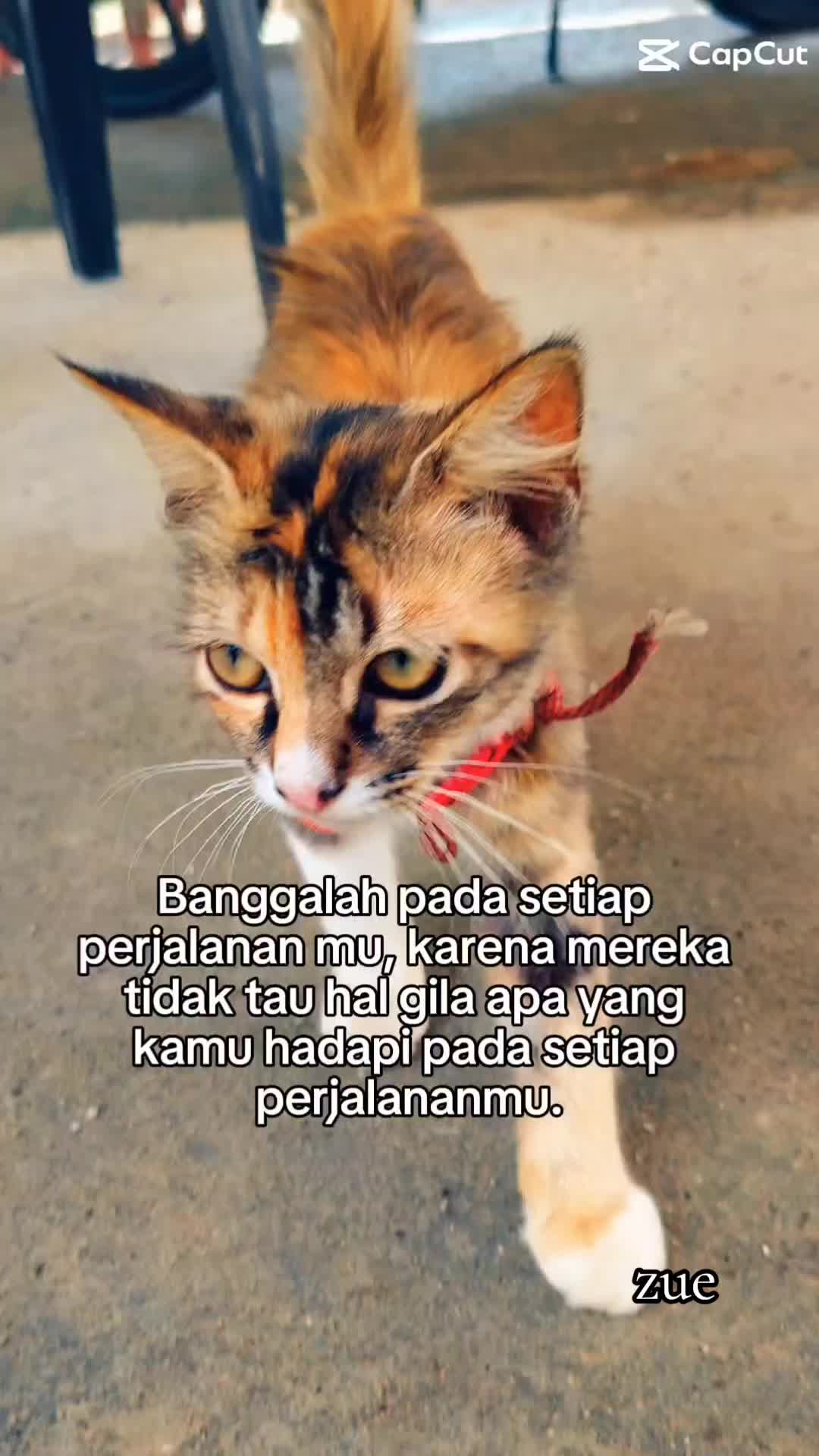 @zue1987