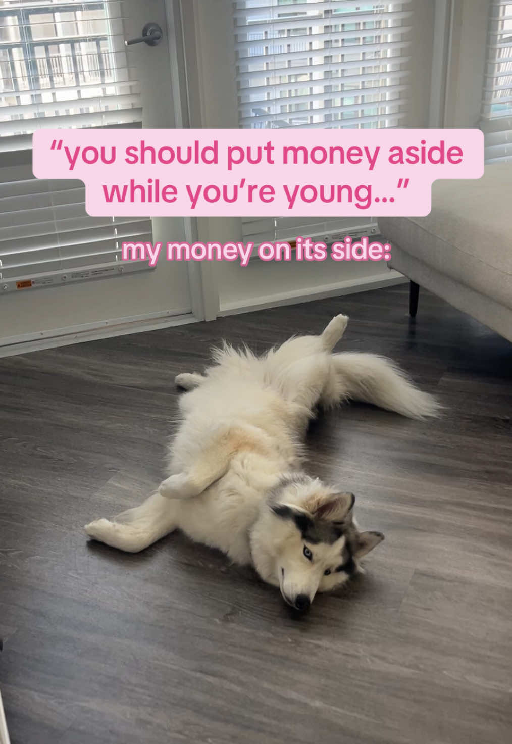 @Winnie & Wookie🐾