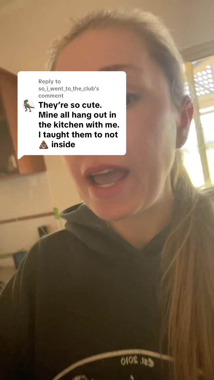 @Dee&ensp;the&ensp;garden&ensp;fairy
