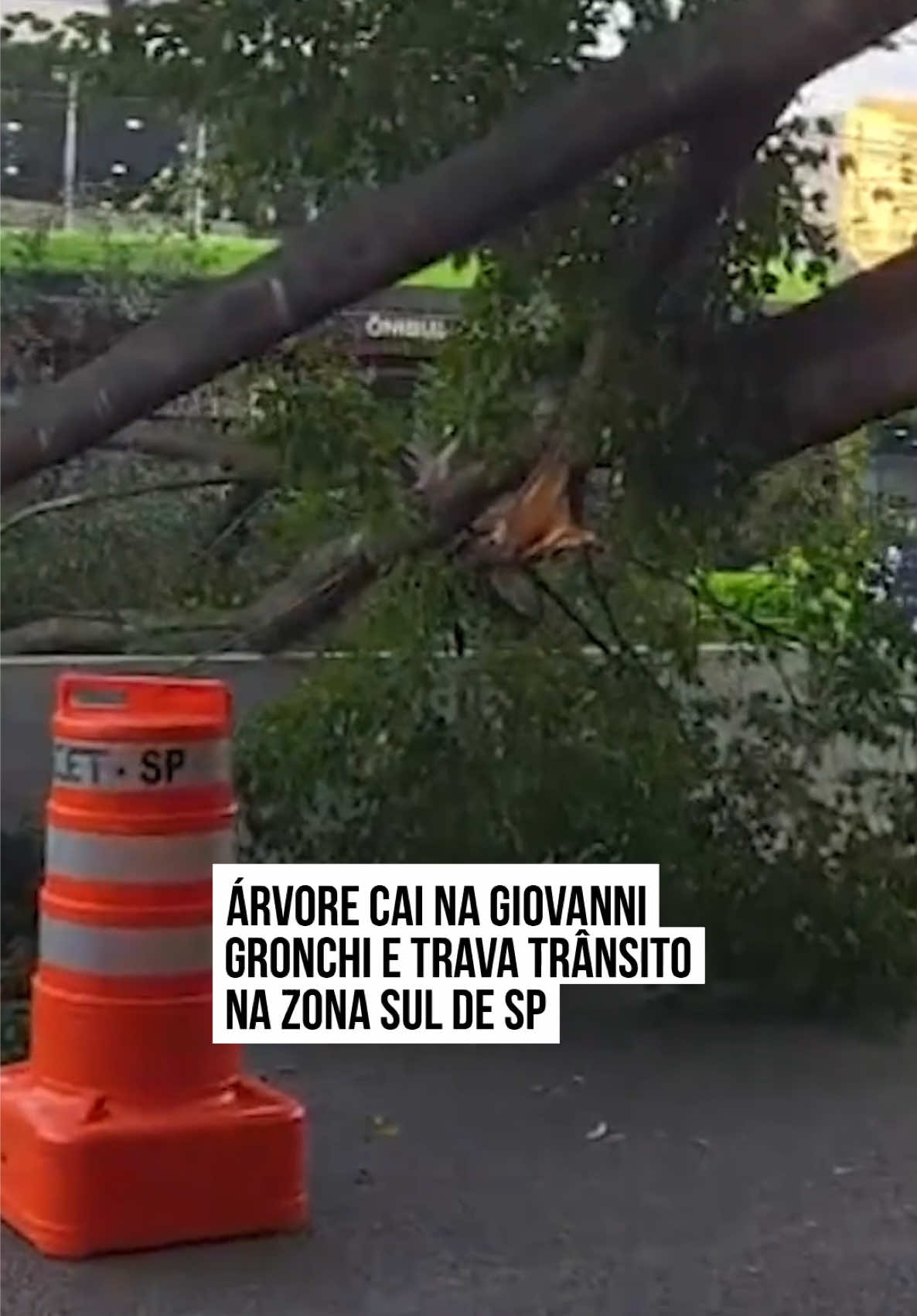 @Metrópoles Oficial