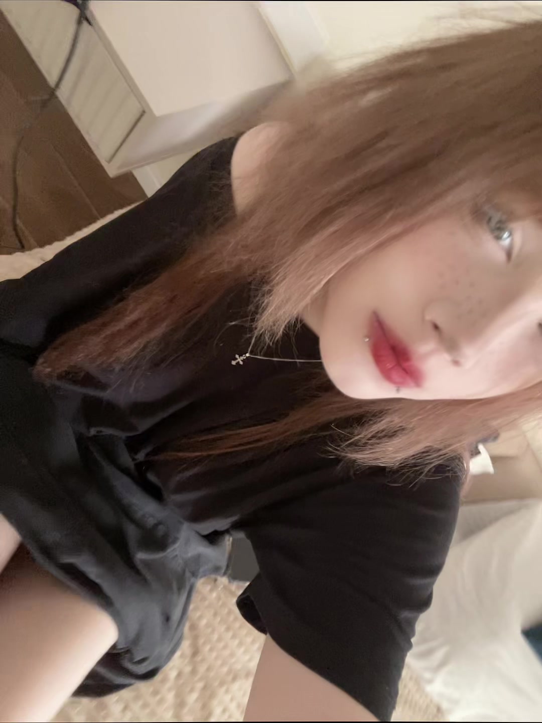 @лацертида