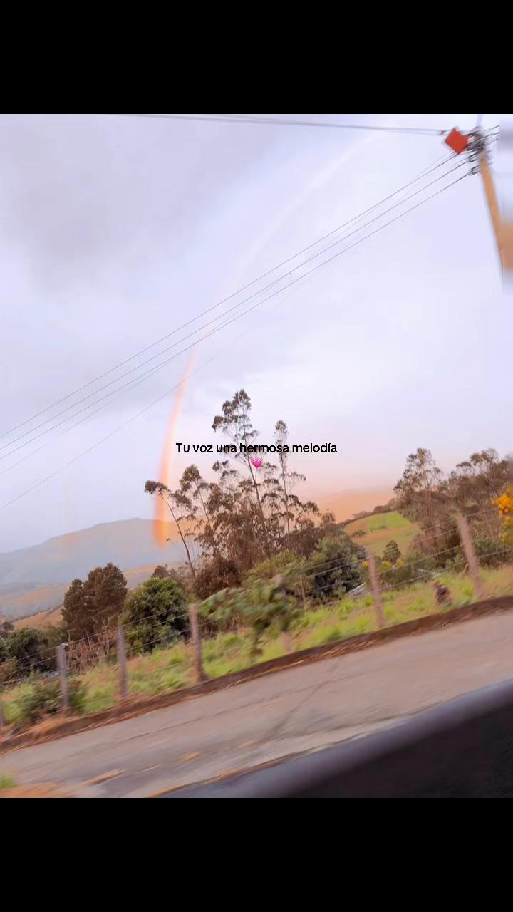 @daniela503.11