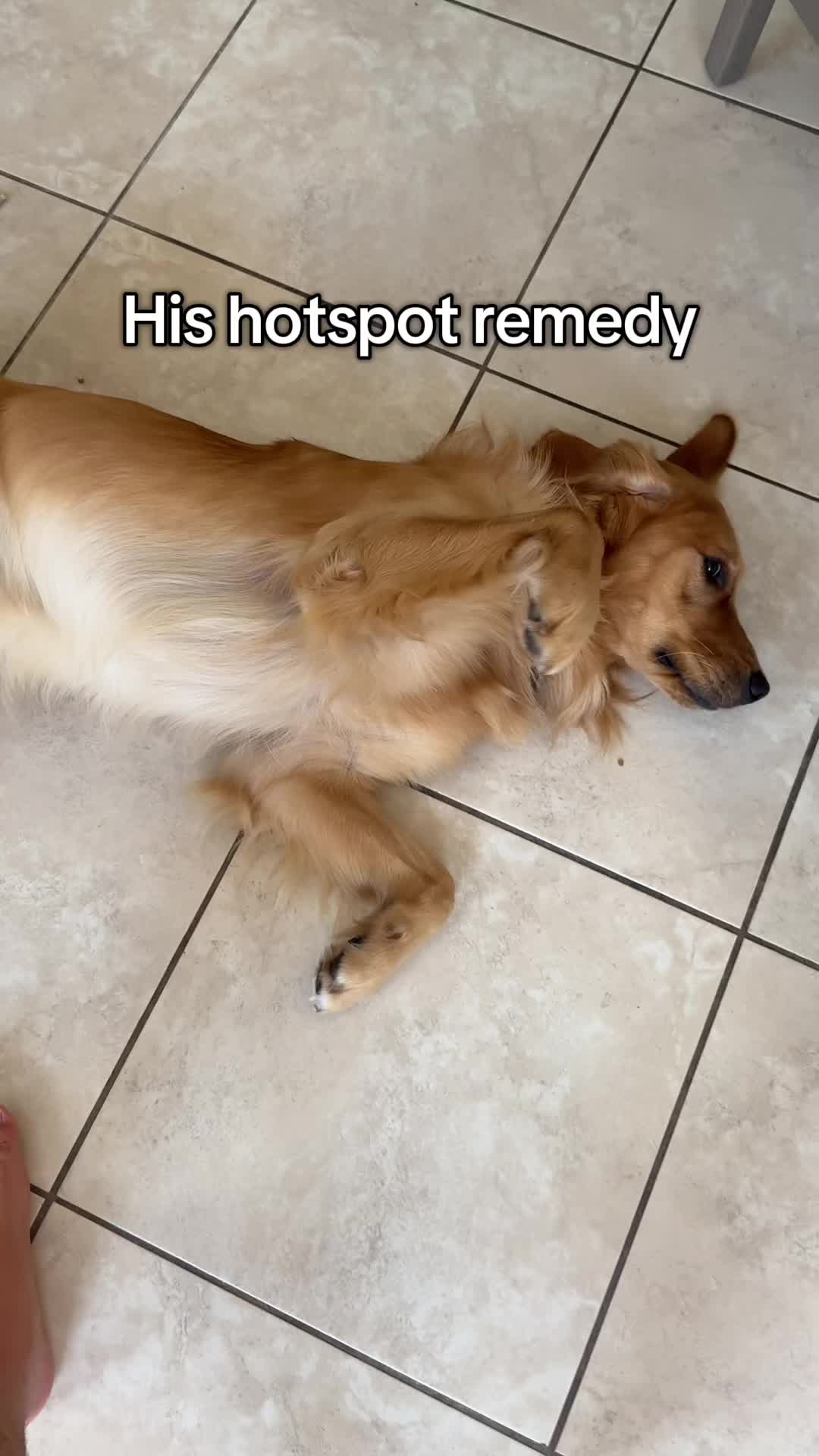 @Christopher_Finds