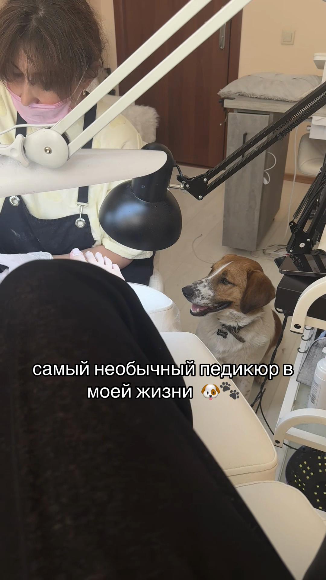 @sho.mashka