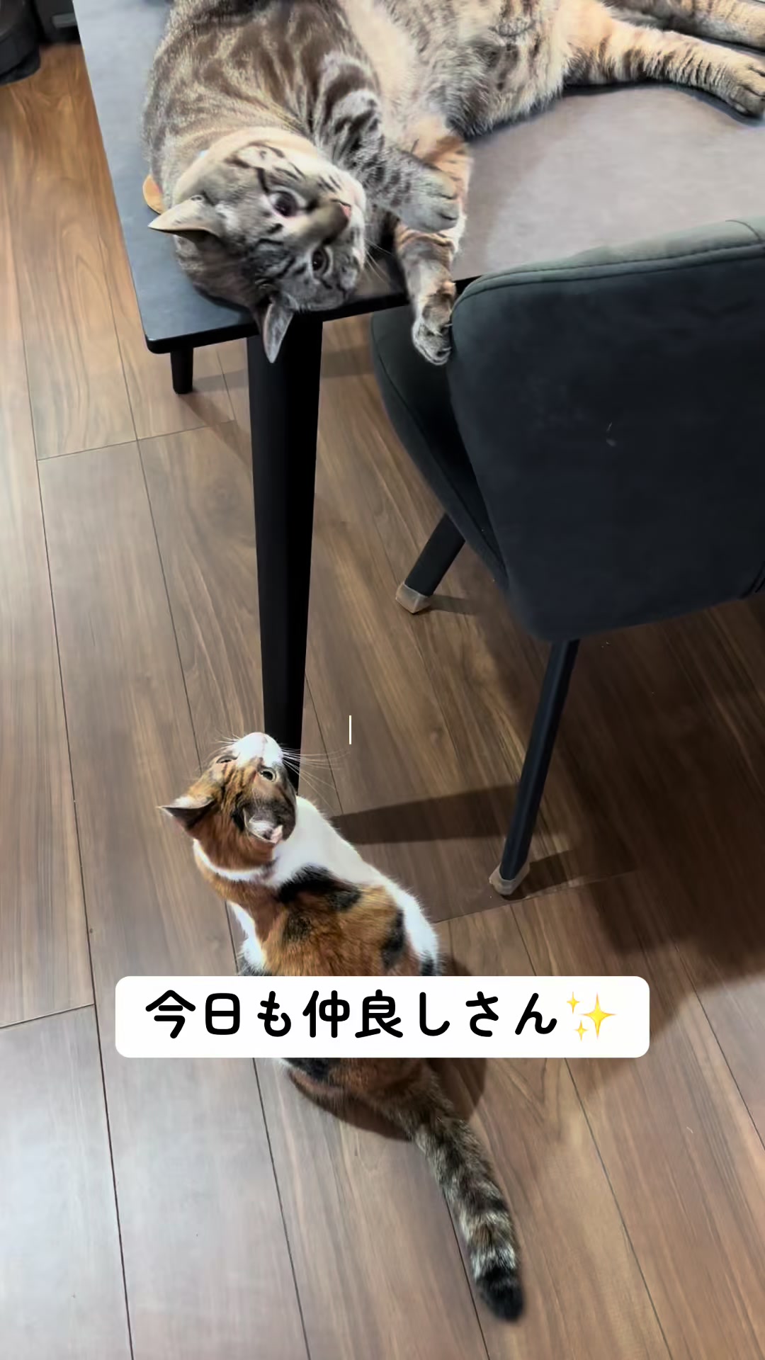 @ゆきりん