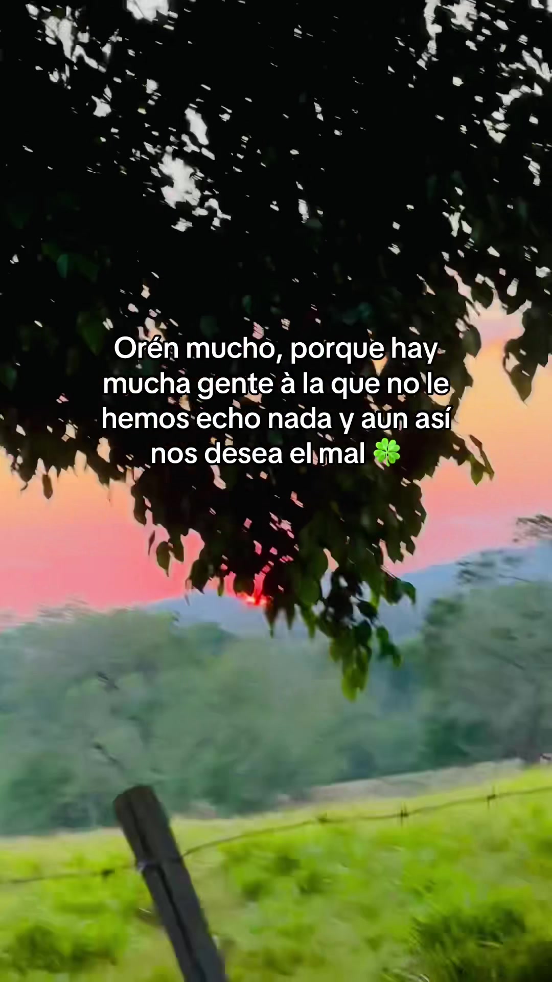 @danielaurbina247