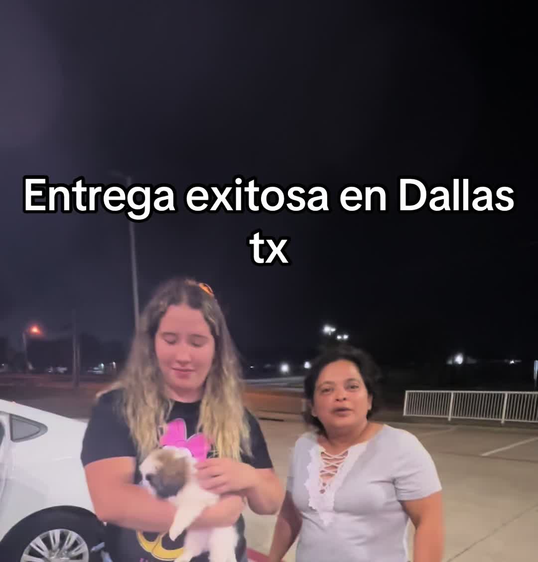 @Brenda Munoz