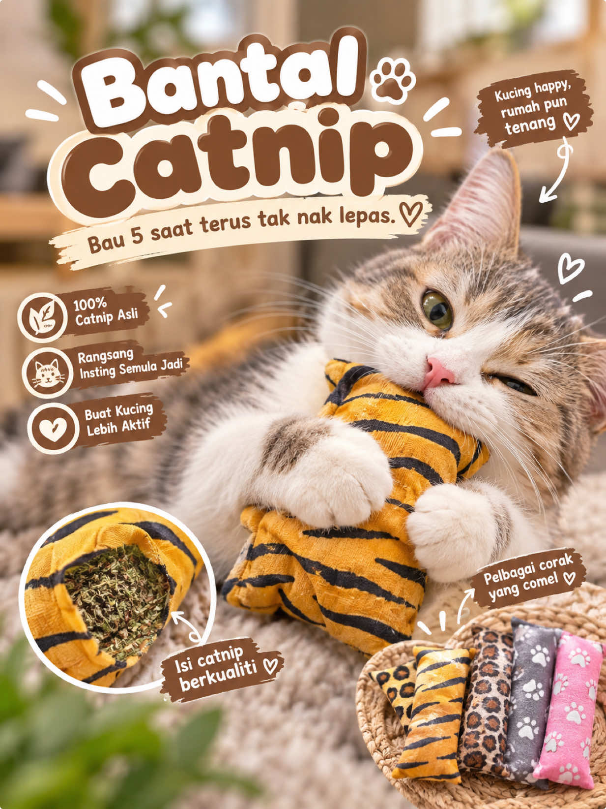 @KUCING SAYA MAJIKAN SAYA|BIHA
