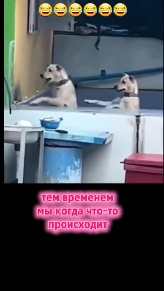 @Алла